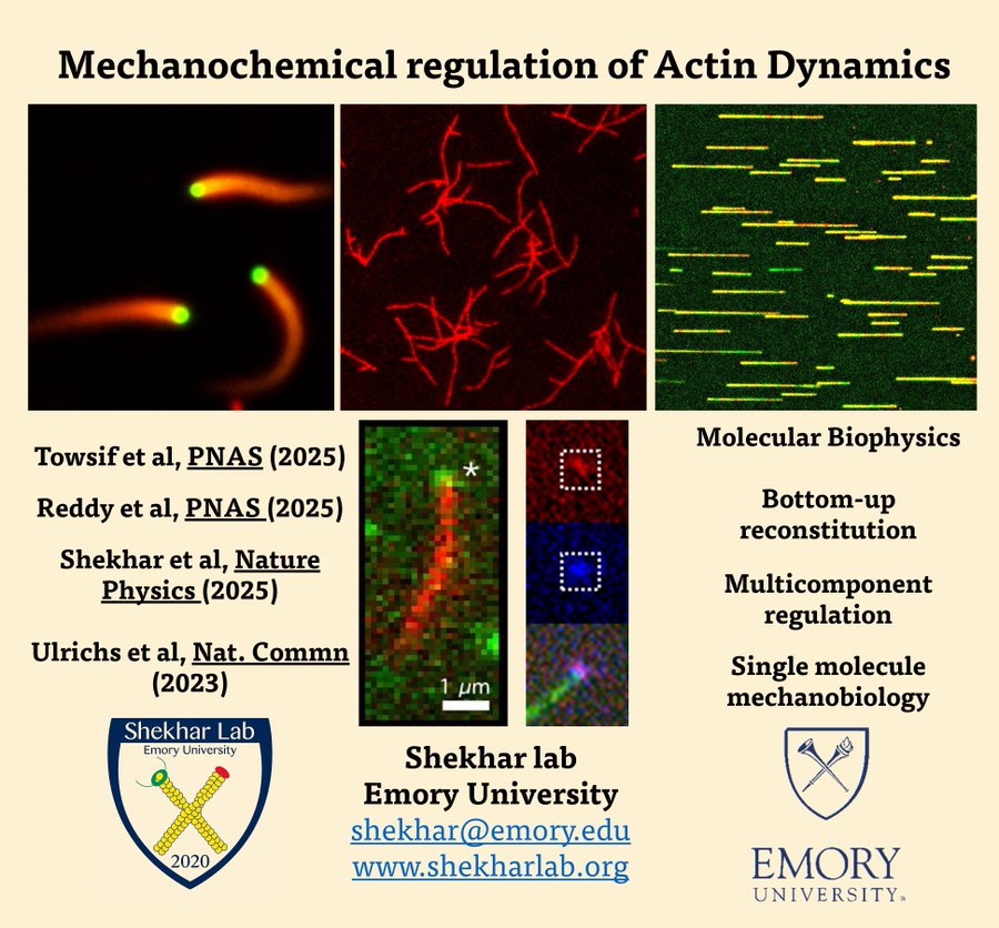 Hiring 2 Research Assistants & 2 Postdocs at Emory University