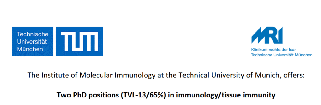 Two PhD positions available in immunology/tissue immunity at the Institute of Molecular Immunology, TUM, Munich