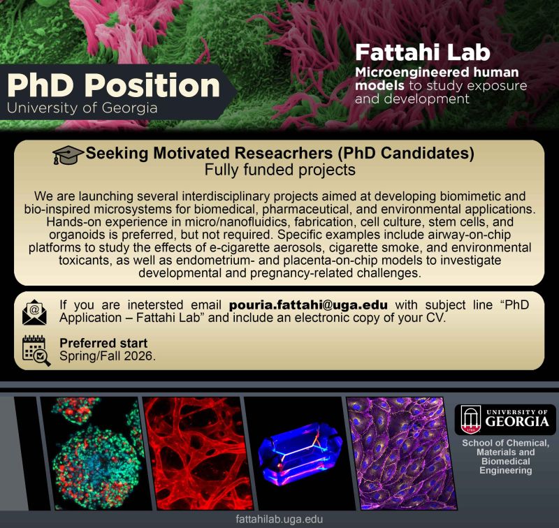 Recruiting PhD students to join the Fattahi Lab at the University of Georgia