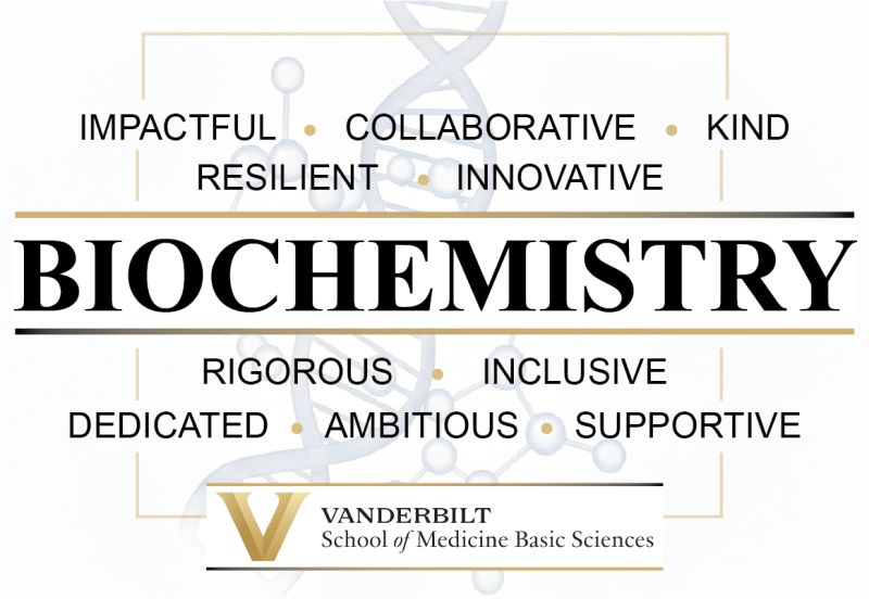 The Department of Biochemistry at Vanderbilt University invites applications for two tenure-track faculty