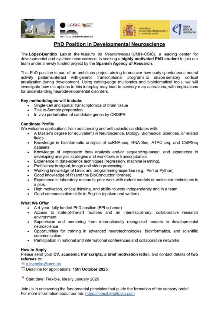 Hiring a PhD student - Developmental Neuroscience - Spain