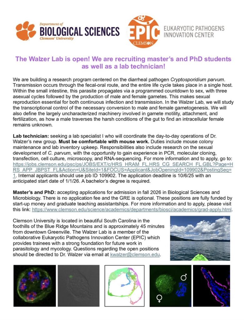 Master's and PhD: accepting applications for admission in fall 2026 - Clemson University