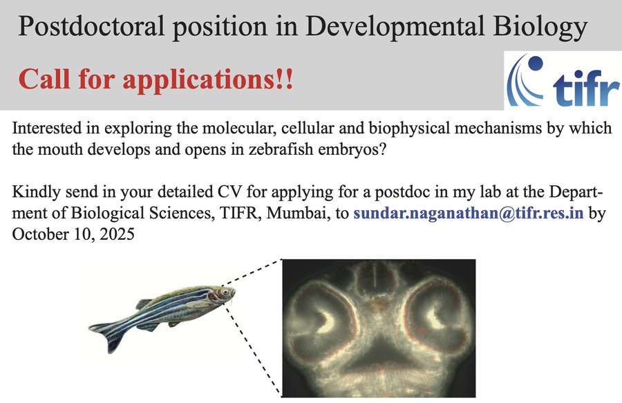 Postdoc position - Biological Sciences - TIFR Mumbai
