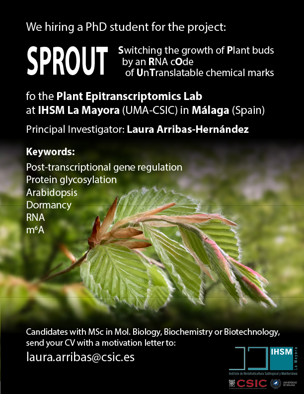 Hiring a PhD student - Plant Epitranscriptomics Lab - Spain
