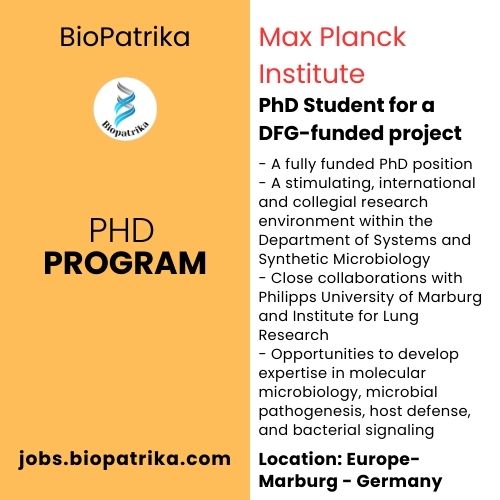 Hiring PhD Student for a DFG-funded PhD Position - Max Planck Institute (Marburg)