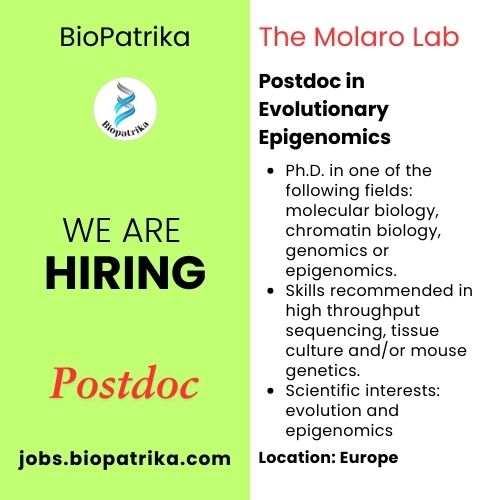 Postdoctoral position in Evolutionary Epigenomics – ERC funded – Molaro Lab