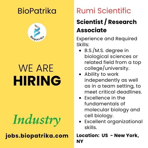 Scientist  Research Associate - Rumi Scientific - New York, NY