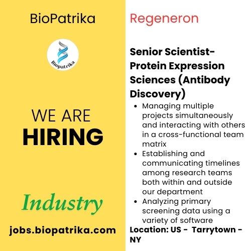Senior Scientist- Protein Expression Sciences (Antibody Discovery) - Regeneron - Tarrytown, NY