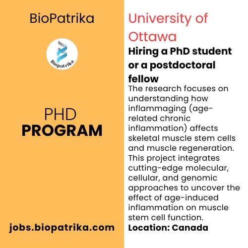 University of Ottawa hiring a PhD student or a postdoctoral fellow