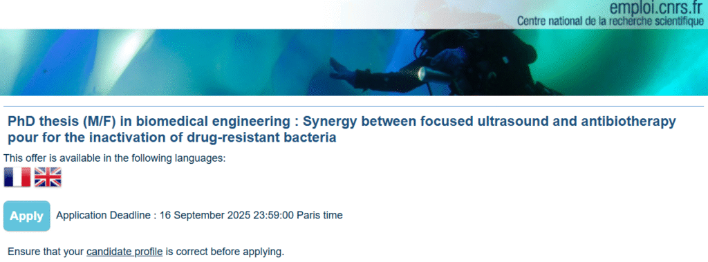 PhD thesis (M/F) in biomedical engineering