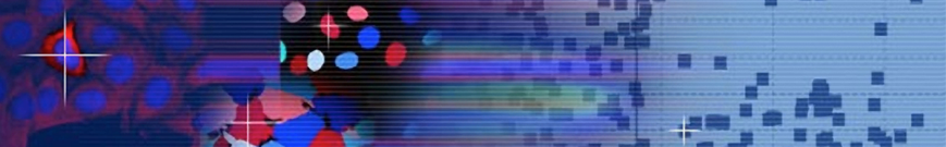 MLSC Data Science Intern (Master’s/PhD/Post-doc): Computational Biology