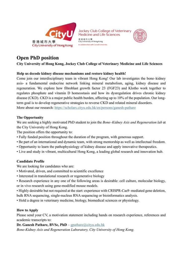 Open PhD Position - City University of Hong Kong