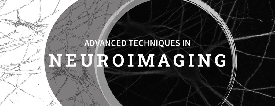 The Stanford–UCSC Advanced Techniques in Neuroimaging Workshop