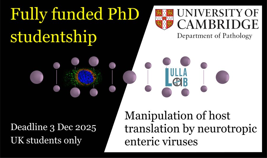 Fully funded 4-year PhD studentship to study RNA viruses