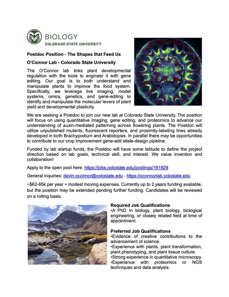 Hiring Postdoc to join Devin O'Connor lab at CSU