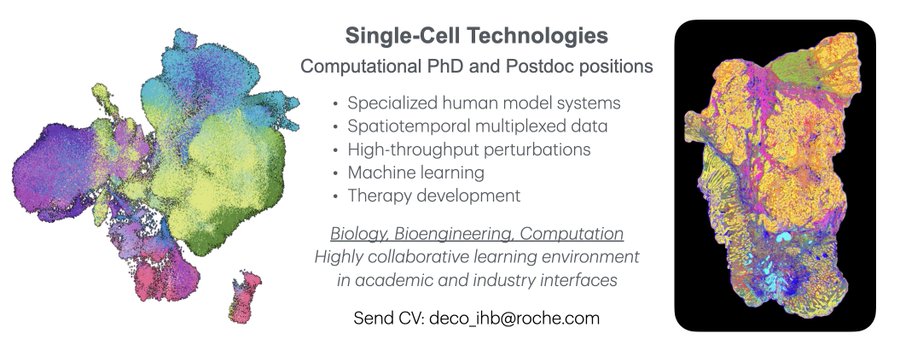 Roche hiring computational PhDs and Postdocs