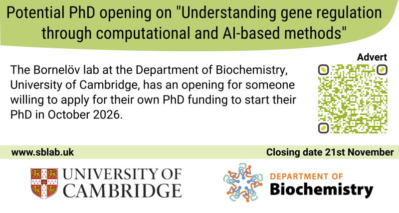 PhD in the field of computational RNA biology using bioinformatics 