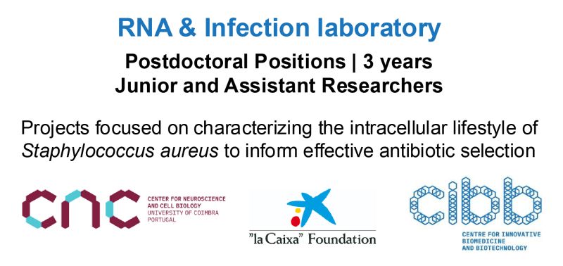 Hiring Junior Postdoc and Assistant researcher