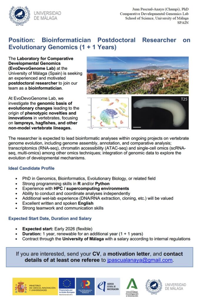 University of Málaga, Spain is looking for a bioinformatician researcher for a postdoc position