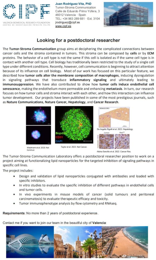 Postdoctoral position, Tumor cells - Spain