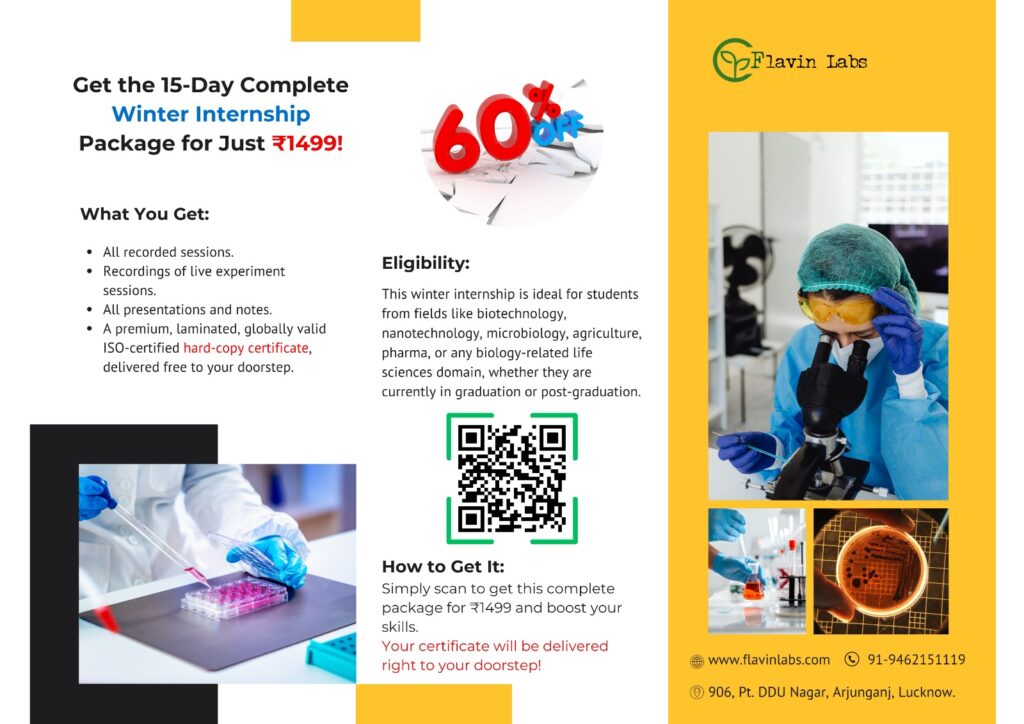 15-Day Complete Winter Internship Program | ₹1499 Only