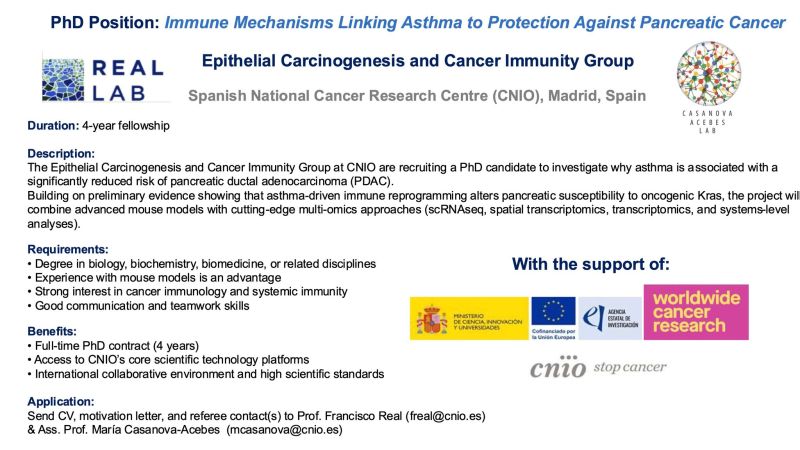 PhD position to work on asthma immunology - Spain