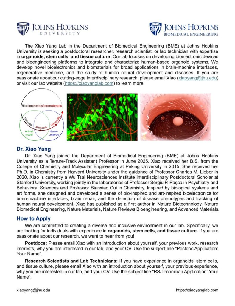 Xiao Yang Lab in Biomedical Engineering at Johns Hopkins University is hiring
