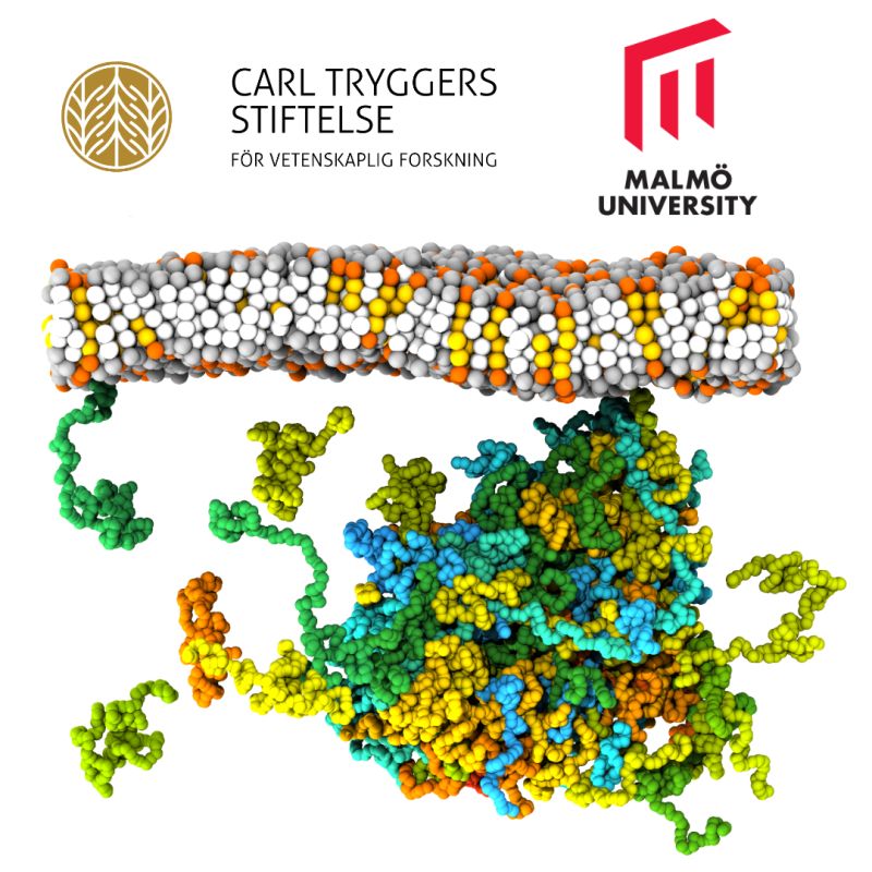 Hiring a postdoc at Malmö University, Sweden