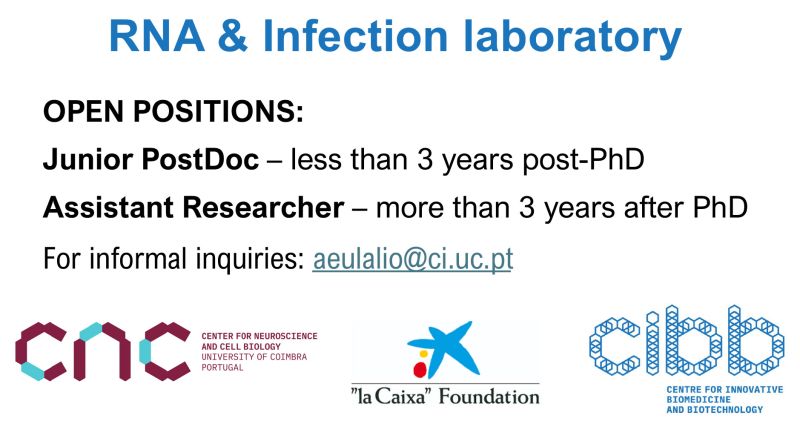 Hiring for postdoctoral research positions - University of Coimbra (Portugal)