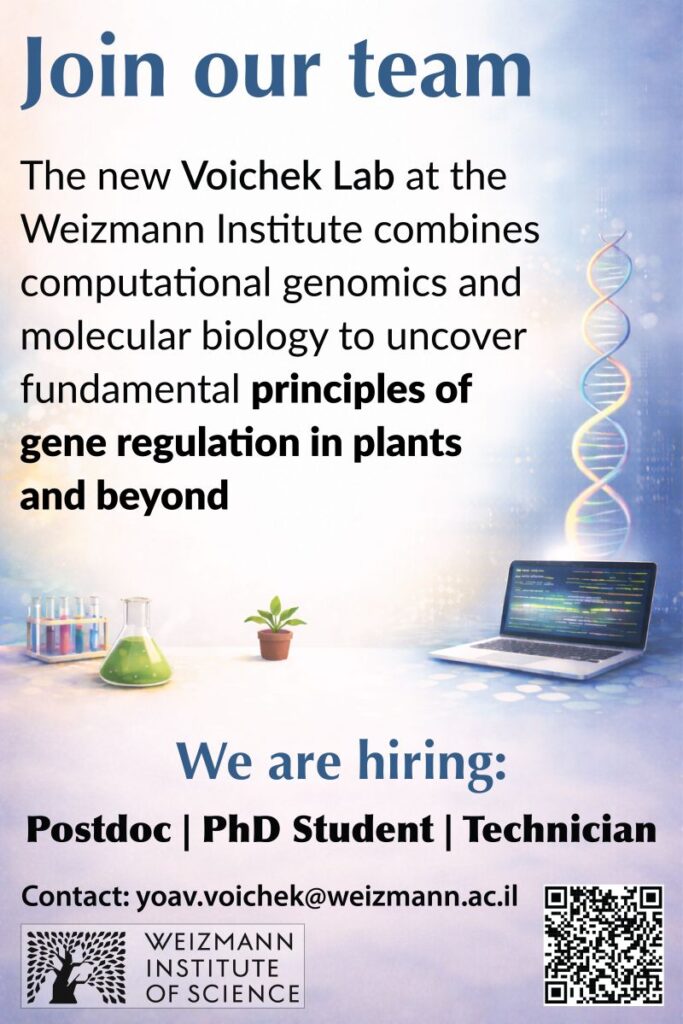 Voichek Lab at the Weizmann Institute of Science hiring Postdocs | PhD Students | Technicians | Rotation students (MSc)