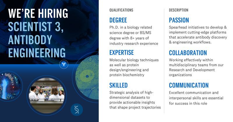 Hiring Scientist 3, Antibody Engineering - Genentech - USA
