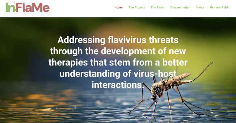 Hiring Postdoc in molecular virology to join at the Institut Pasteur