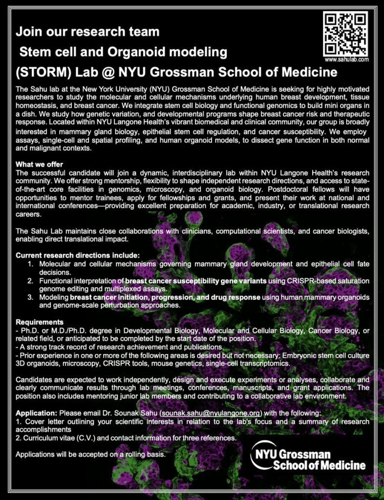 Hiring for research team - NYU Langone