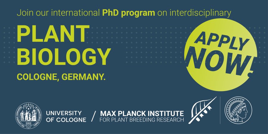 Miltos Tsiantis’s lab Hiring PhD student - IMPRS - Germany