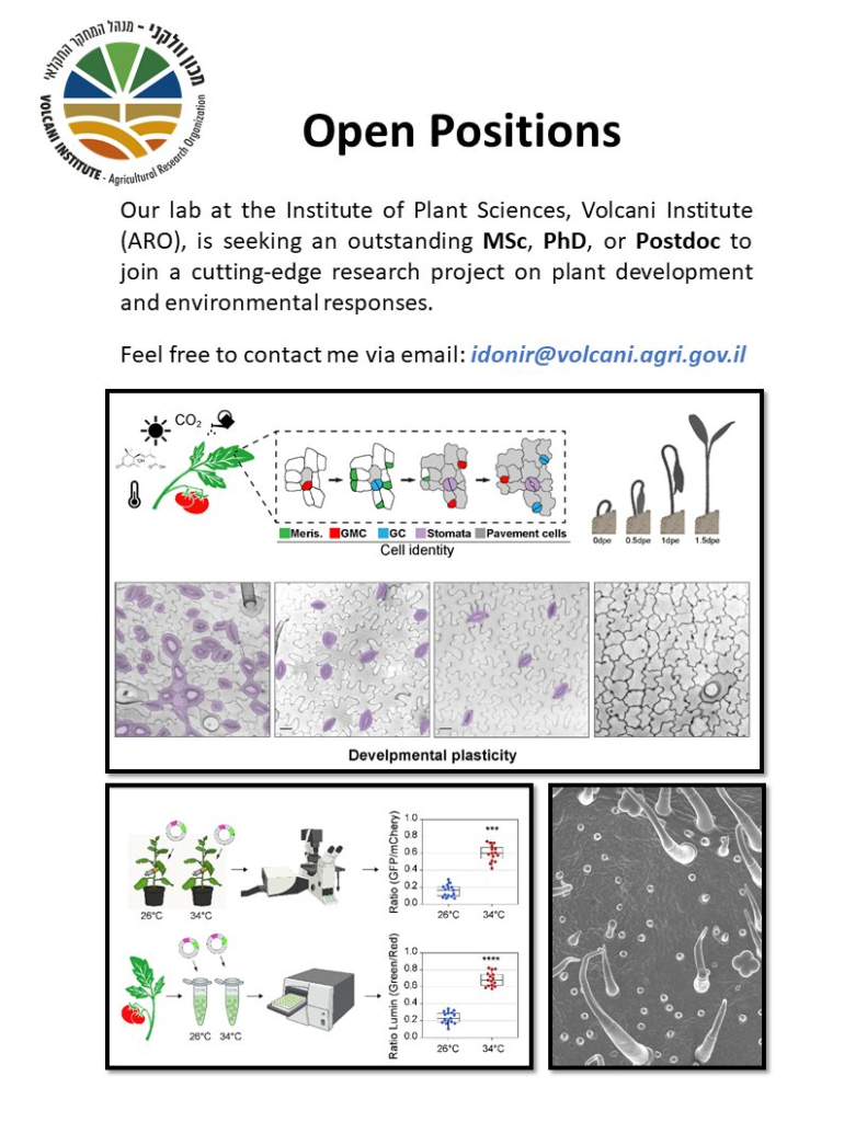 MSc/PhD/postdoc position available