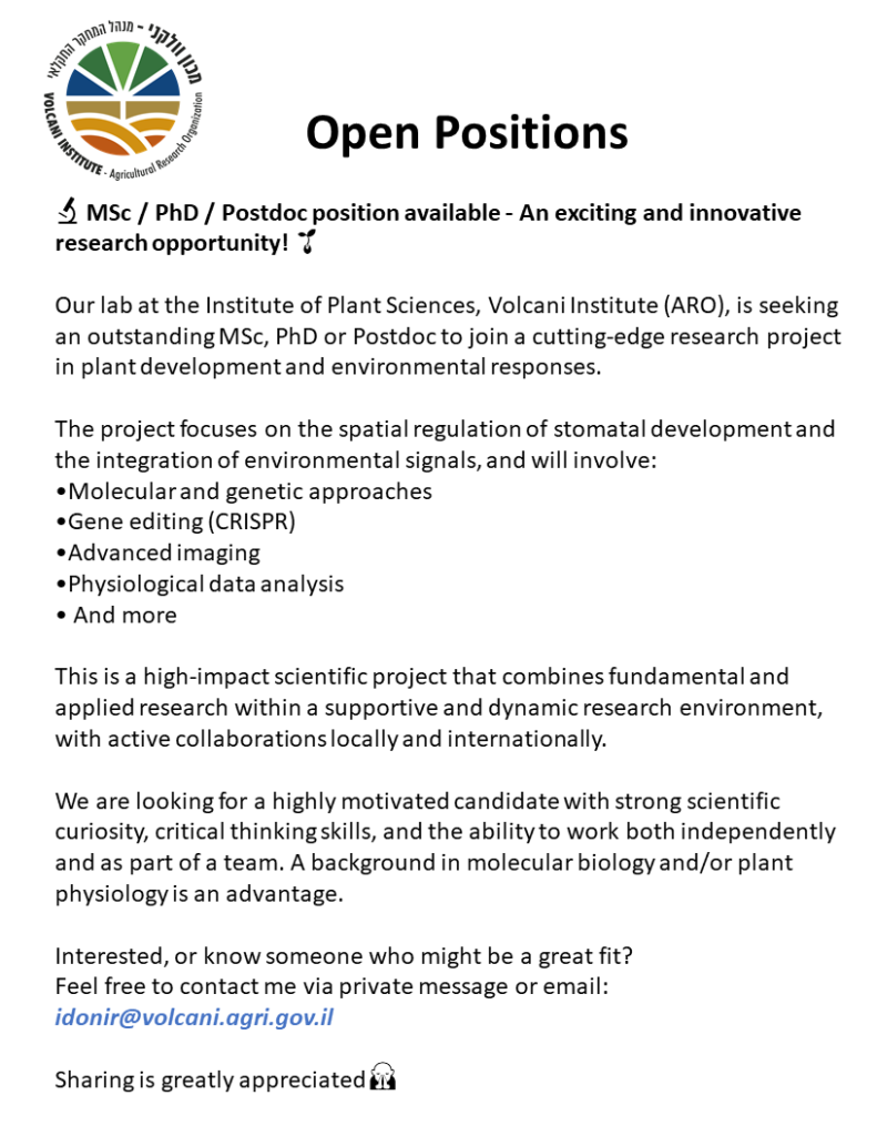 MSc/PhD/postdoc position available