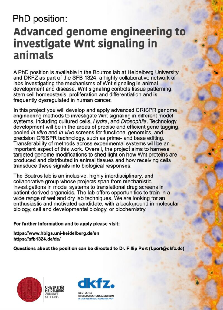 PhD opportunity at the intersection of genome engineering, cancer and developmental biology - Germany