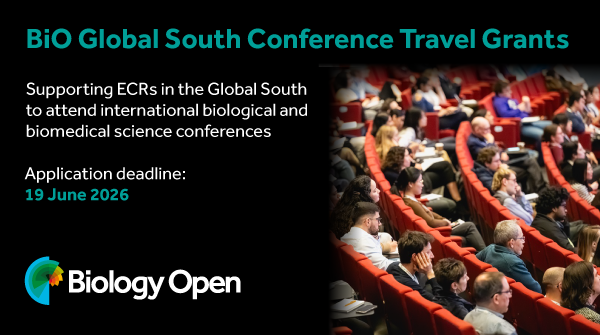 BiO Global South Conference Travel Grants
