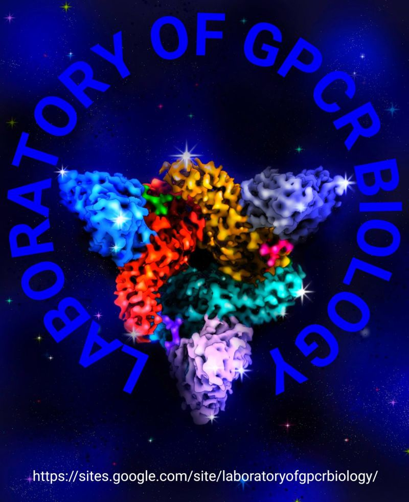 Laboratory of GPCR Biology IIT Kanpur recruiting PhD