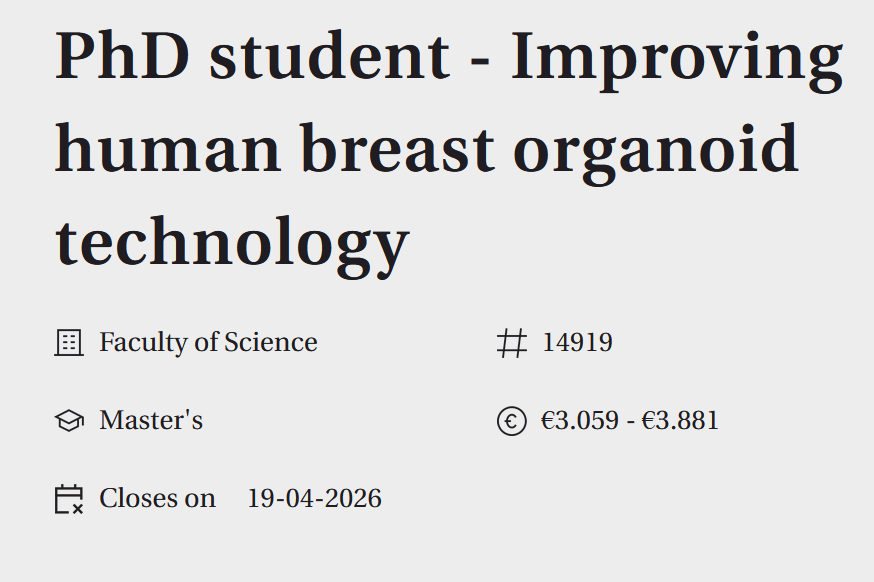 PhD student - Improving human breast organoid technology - University of Amsterdam