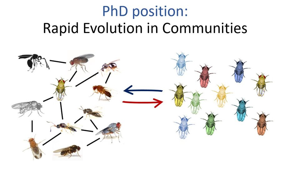PhD position - rapid evolution in communities - Czech Republic