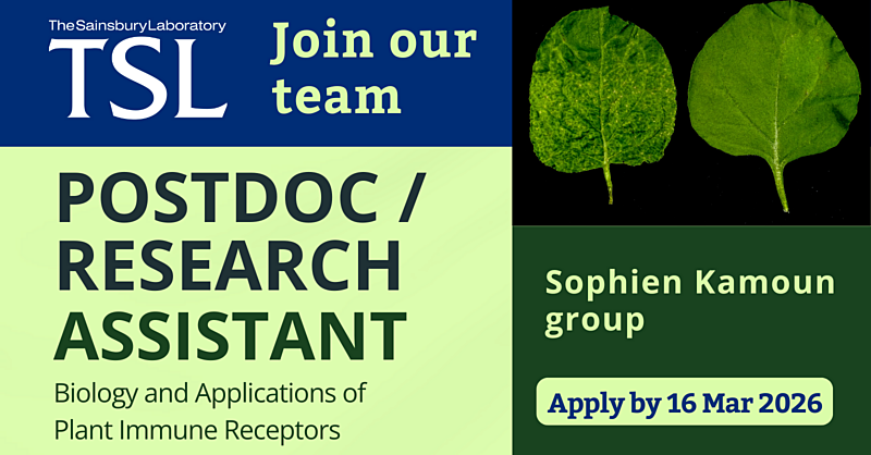 Postdoc/Research Assistant in the Kamoun group - The Sainsbury Laboratory (TSL), Norwich, UK
