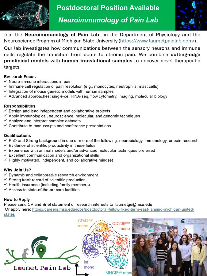 Postdoc position available - Neuroimmunology of Pain Lab