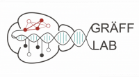 Postdoctoral researcher - neuroepigenetics at EPFL