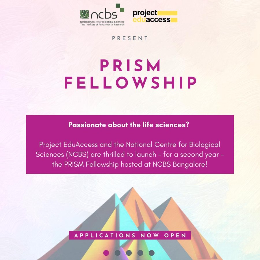 PRISM Fellowship 2026