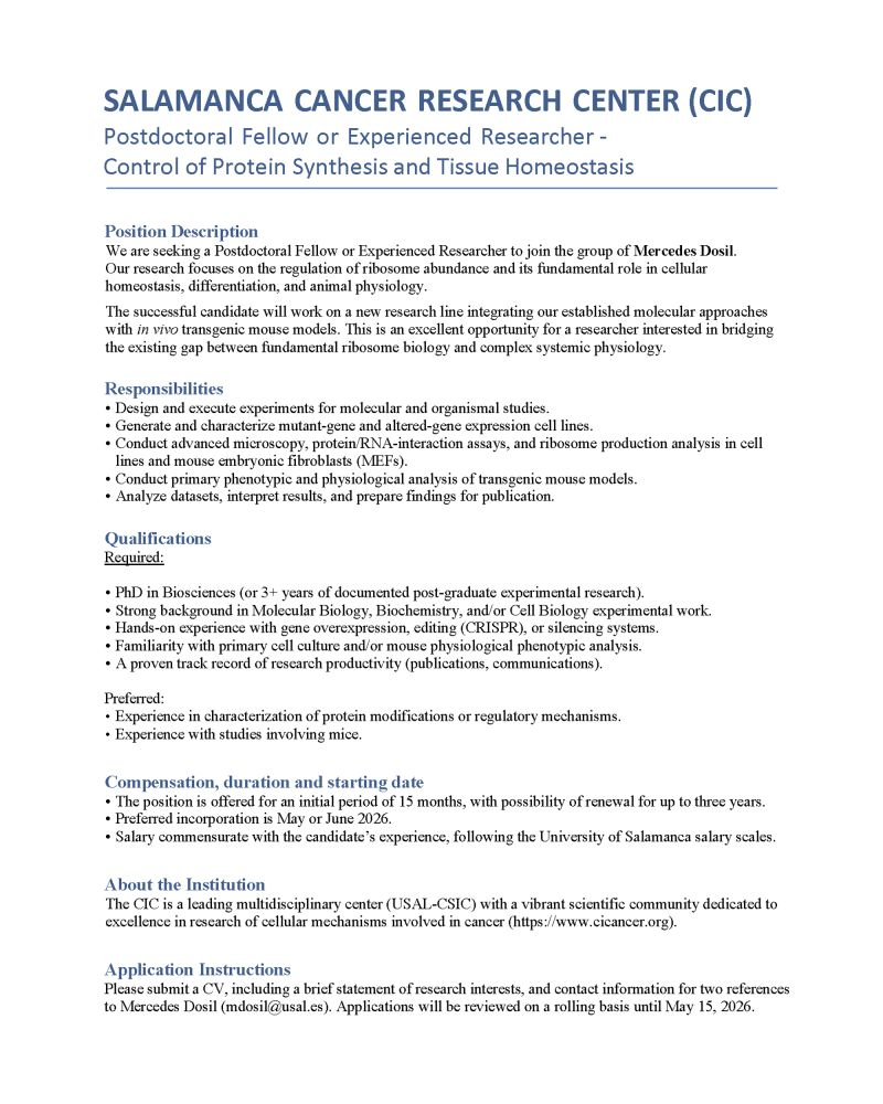 Postdoc Opportunity in Salamanca - Spain