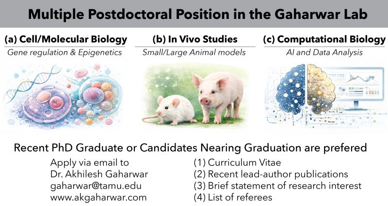 Recruiting multiple Postdoctoral researchers - Texas A&M University