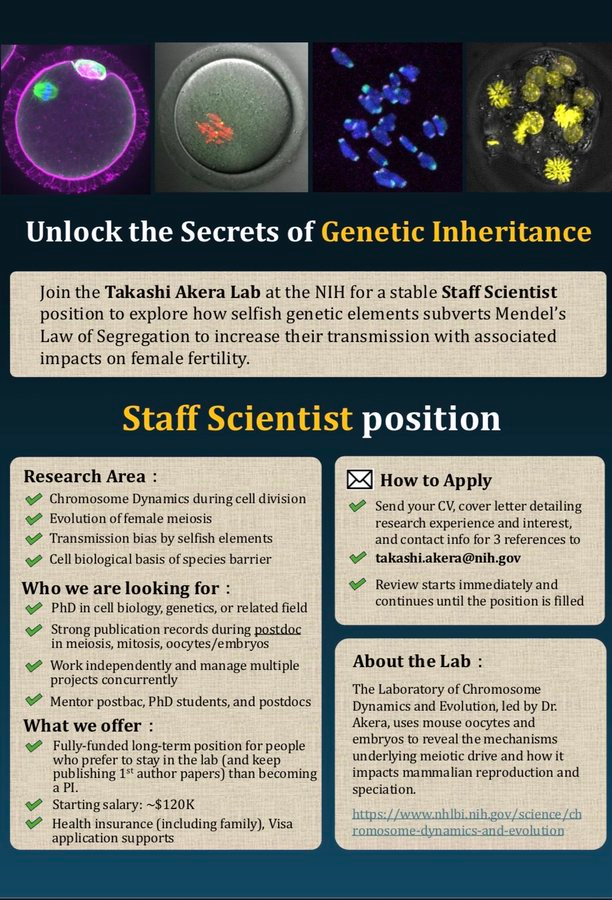 Staff Scientist position - NIH USA