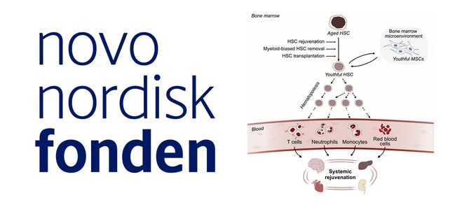 Postdoc position open at Karolinska Institutet - Sweden