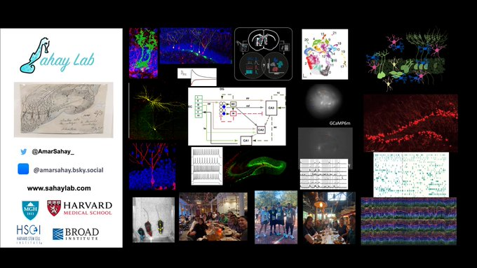 Postdoctoral openings - USA